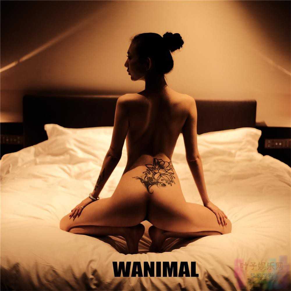 王动WANIMAL 2019-06 作品 [246P+2V/1.17G]（3）