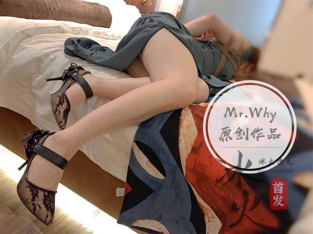 调教大佬@Mr.Why 尺度私拍视图合集[62P+20V/311MB]（1）